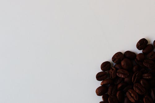 무료 흰색 표면에 갈색 커피 콩 스톡 사진