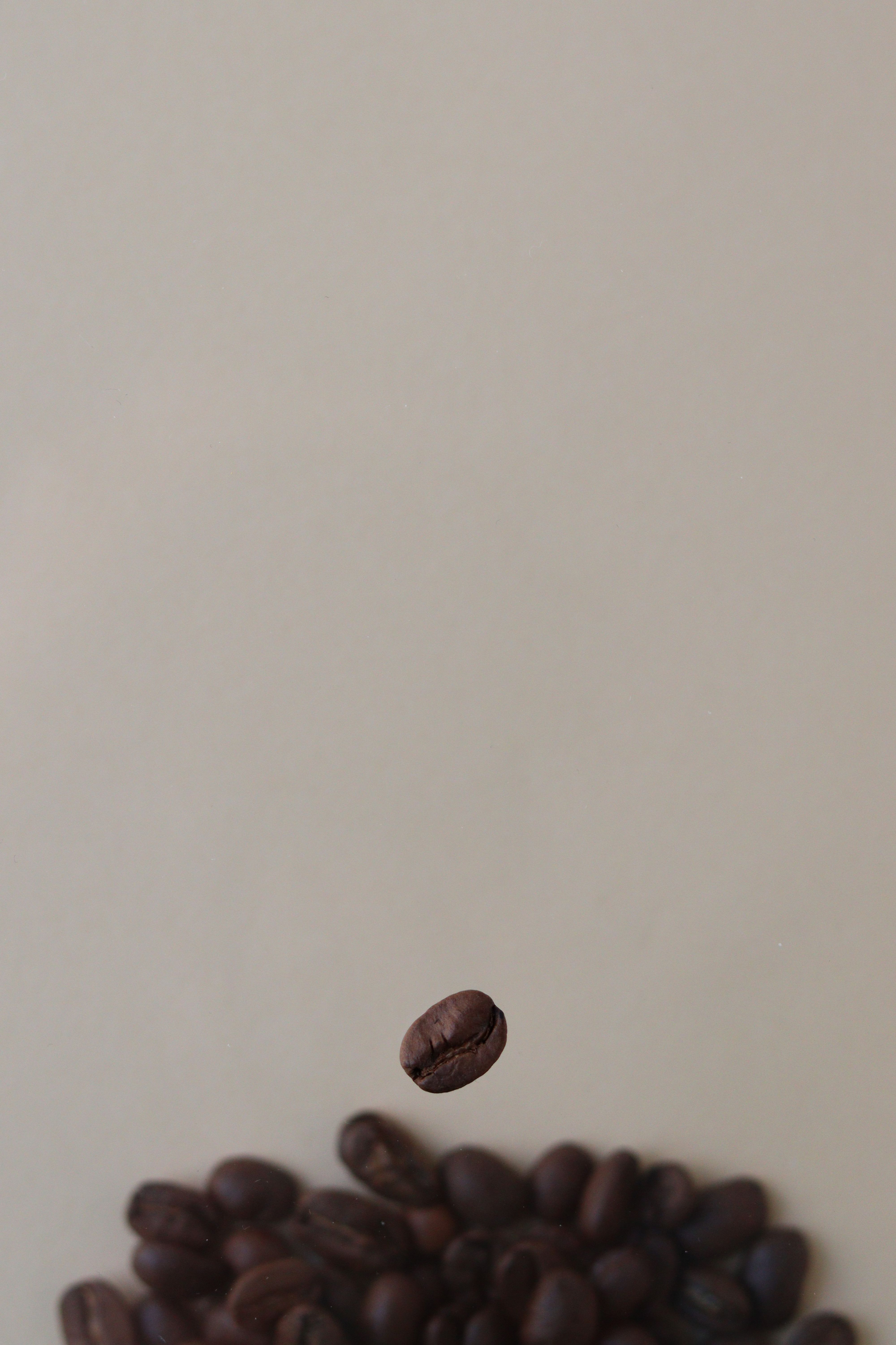 Coffee Beans In Sunlight Free Stock Photo