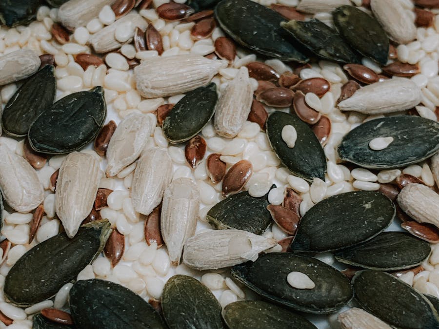 Do pumpkin seeds cause high cholesterol?