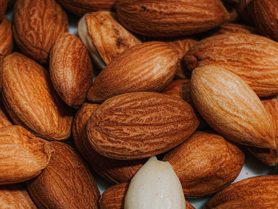 What nut should you eat everyday?