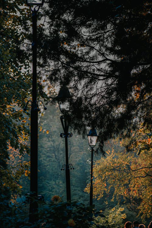 Free Classic streetlights in peaceful autumn park Stock Photo