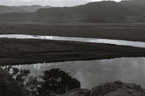 bw, 강, 거친의 무료 스톡 사진