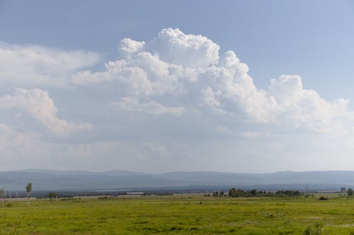 Picturesque landscape of green grassy valley with trees under blue cloudy sky with mountains on background in summer day