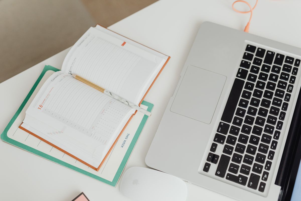 Notion for Creators — Mini Course