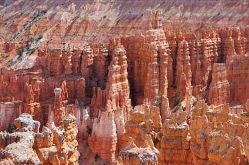 Brown Rock Formation