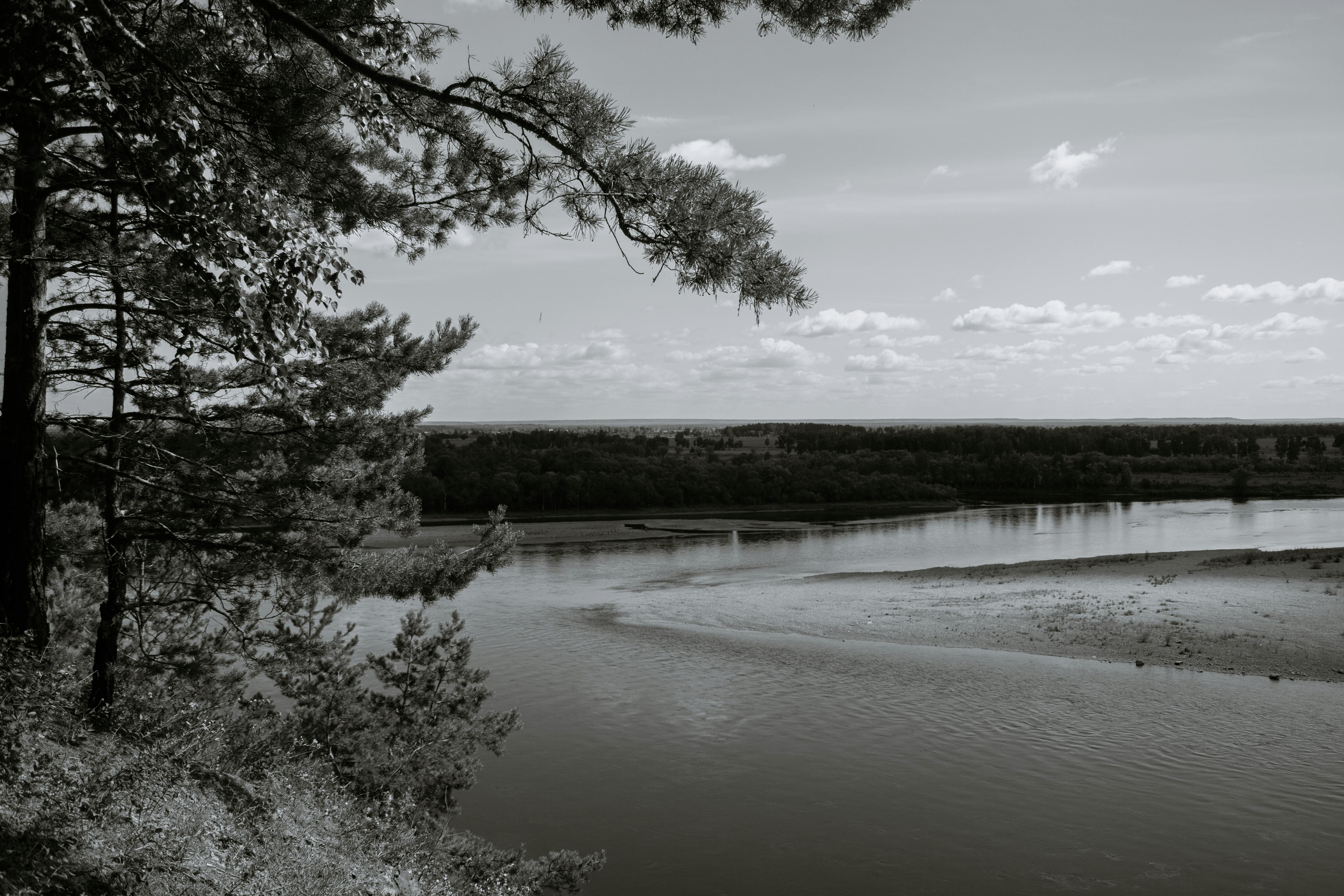 Does black rice water grow hair?