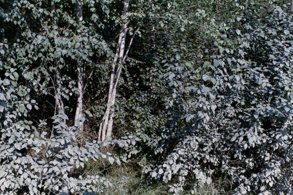 Cultural Awareness Class