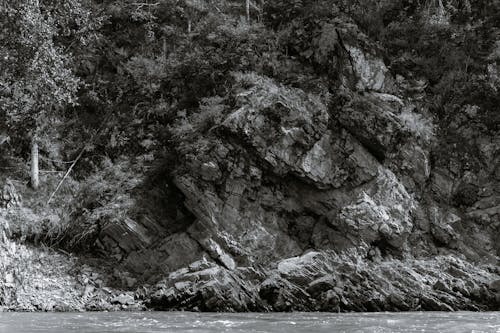 Black and white of high dry mountain with tree and grass against river in daytime