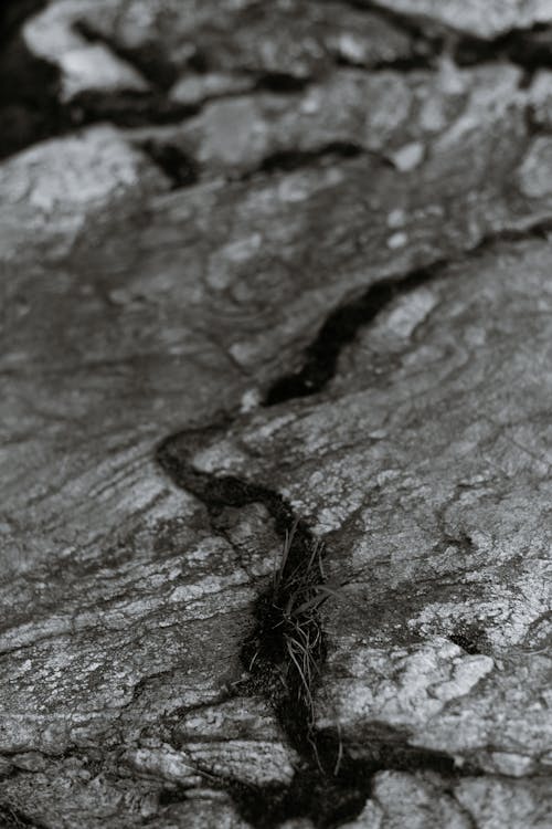 Black and white textured backdrop of dry rocky formation with uneven surface and grass