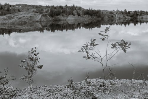 açık hava, atmosfer, ayna içeren Ücretsiz stok fotoğraf