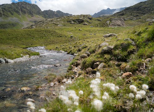 Picturesque view of mountainous valley with creek