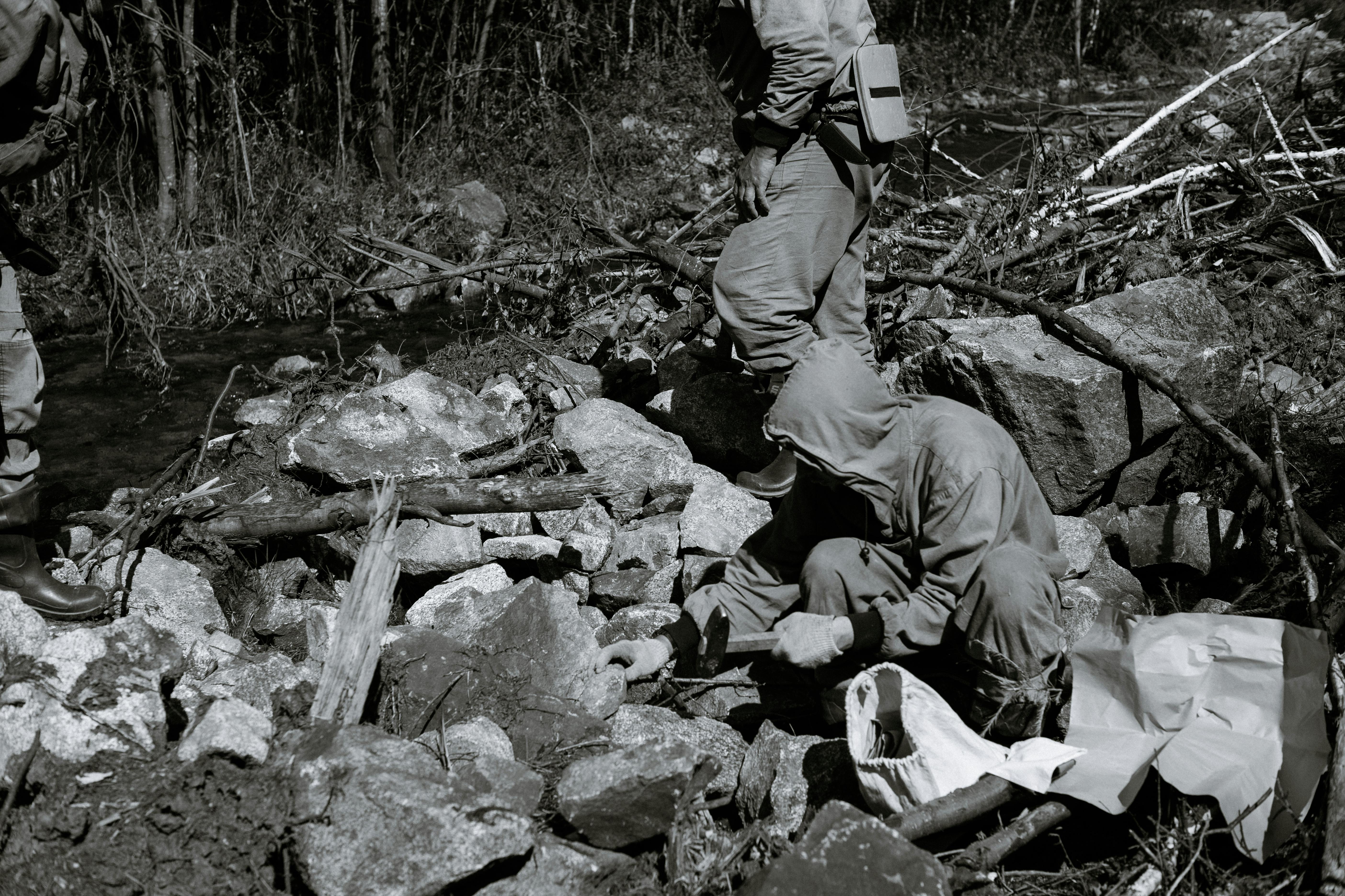 turkish airlines flight 981 body