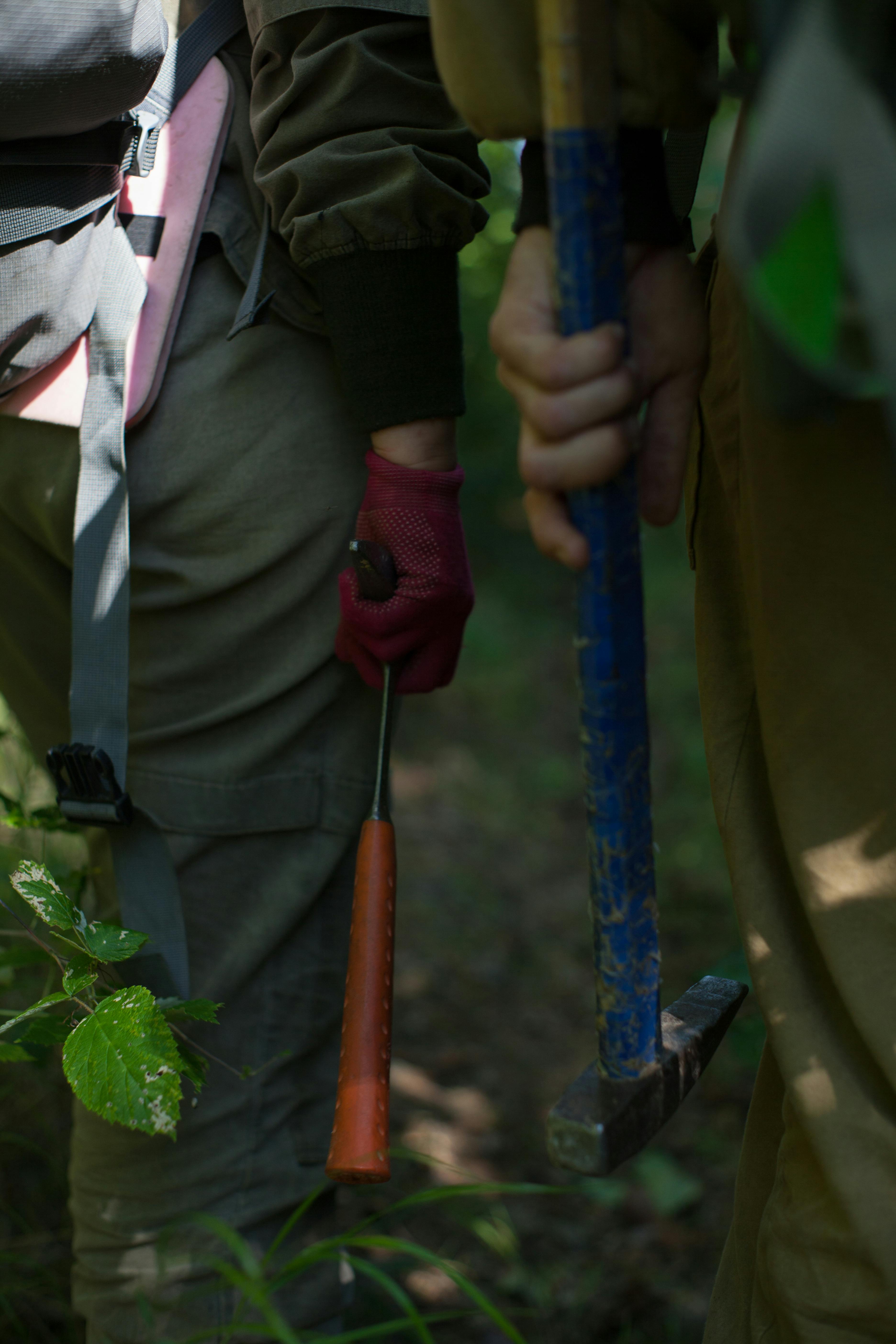 Photo by Plato Terentev