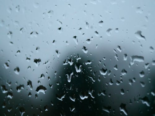 Бесплатное стоковое фото с дождь, капельки, капельки воды