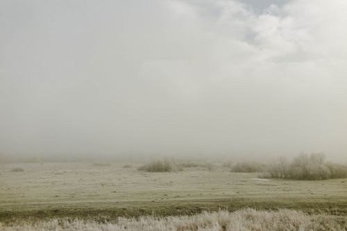 Free Picturesque view of grassland with shrubs and trees under cloudy sky on misty day Stock Photo