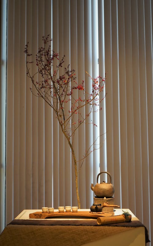 Fotos de stock gratuitas de árbol, bambú, ceremonia