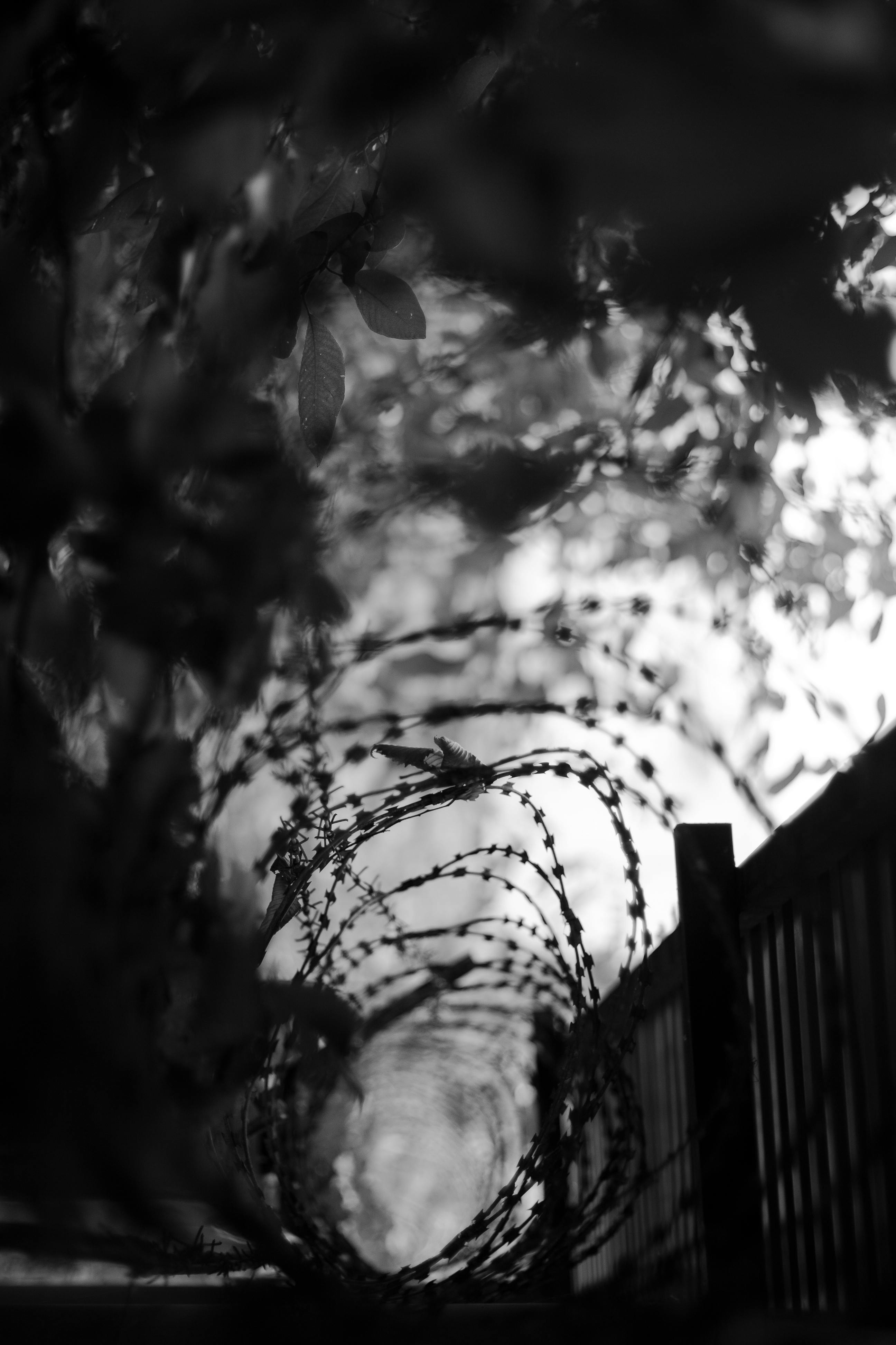 Black and white of wavy wire on walkway near fence in city on blurred background