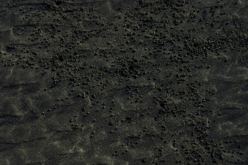 Free From above of dark bottom of sea with transparent shallow water with small pebbles and sun glares on surface in nature Stock Photo