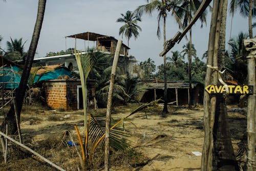 Shabby brick shacks in tropical rural area