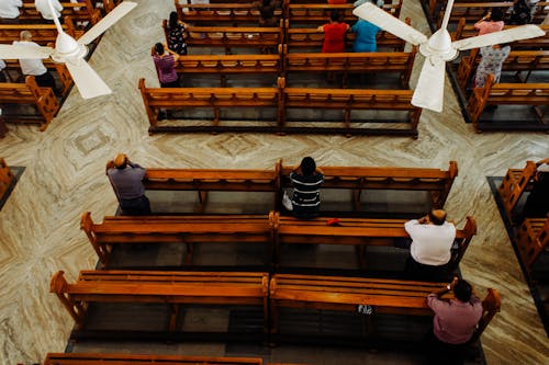 From above of calm people sitting on wooden benches and praying in cathedral
