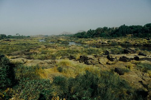 Free Spectacular landscape of green terrain covered with grass and bushes with narrow river flowing near stones Stock Photo