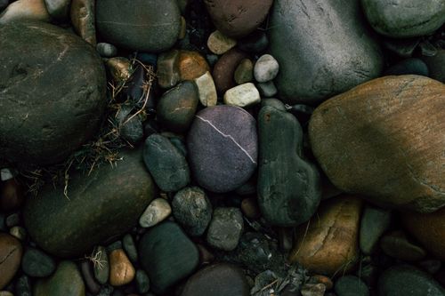 Free Top view of various stones of different sizes and shapes placed on wet coast with dry grass Stock Photo