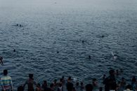 一群人在平静的海水中白天游泳，享受休闲时光和自然美景