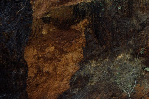 Steep rocky slope of mountain with uneven surface and dry plant in highland