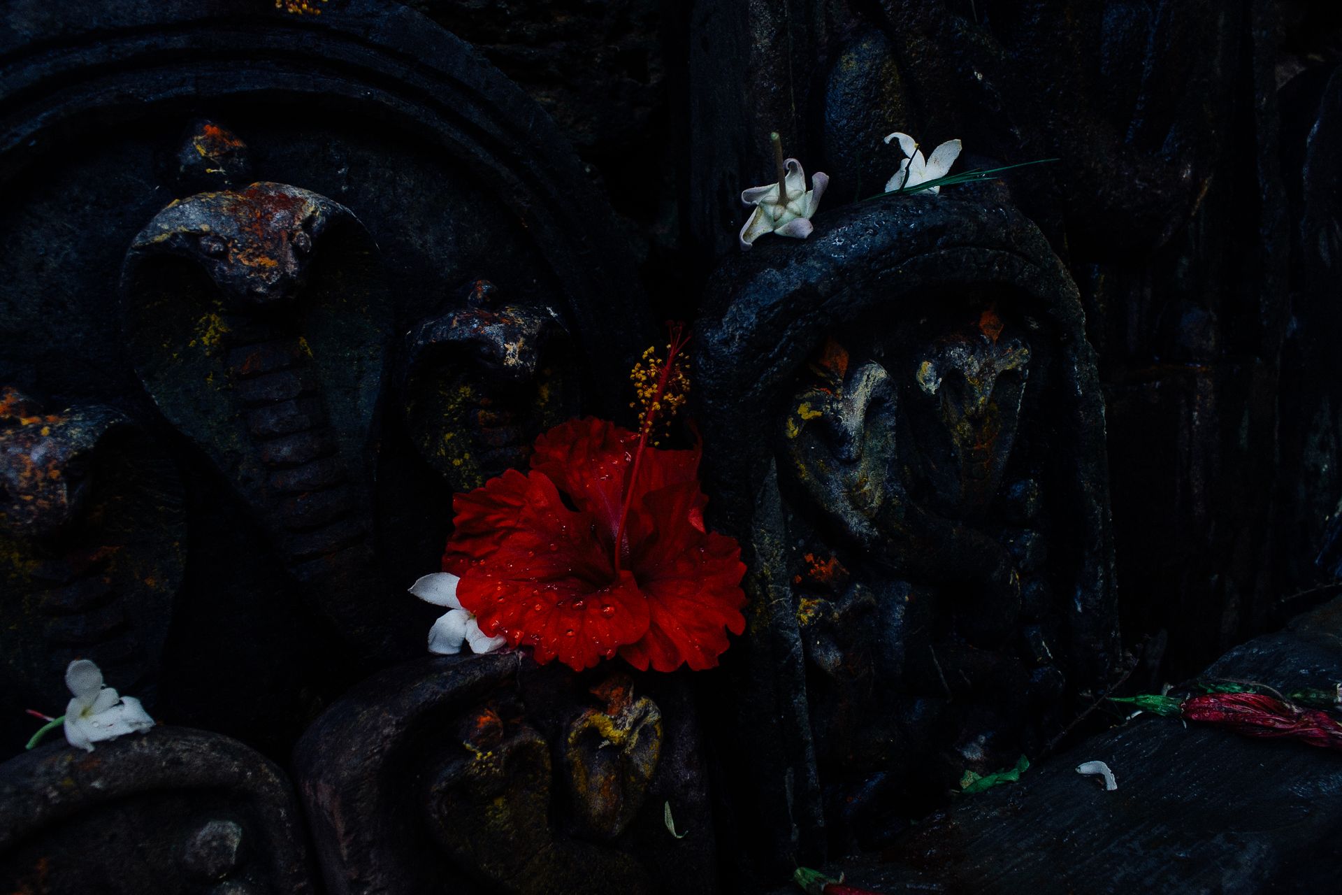 Close-up of a snake stone carving adorned with a vibrant red hibiscus flower, symbolizing spirituality and tradition.