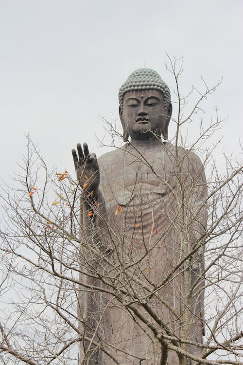 Free Statue of Buddha Behind Tree Branches Stock Photo