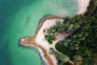 Tree tops on a sandy shore from above — photo by Pok Rie on Pexels