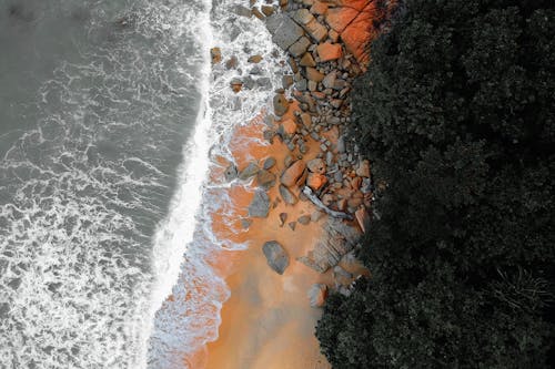 Immagine gratuita di acqua, aereo, albero