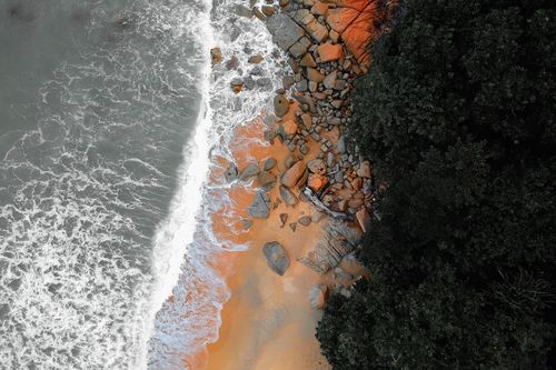 Free Drone view of lush trees growing on sandy shore with rough stones near foamy ocean Stock Photo