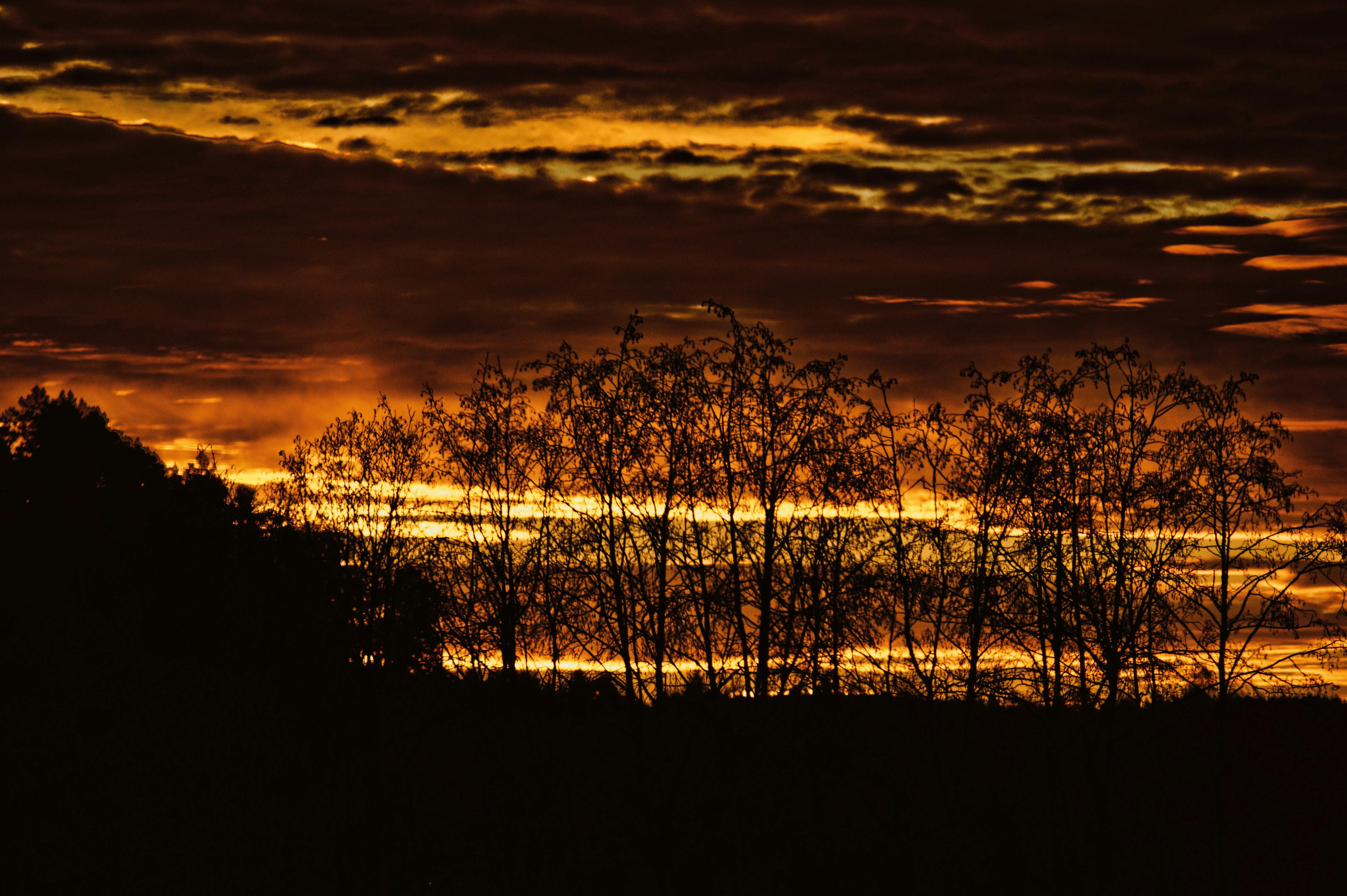 Free stock photo of sundown