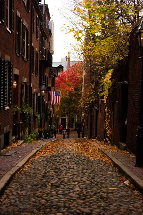 Free Charming narrow street with falling leaves and cobblestone in autumn. Stock Photo