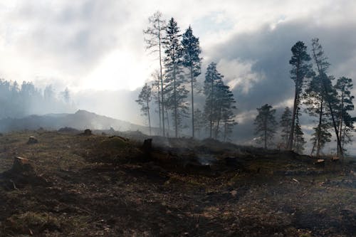 Gratis lagerfoto af advarsel, atmosfære, betagende