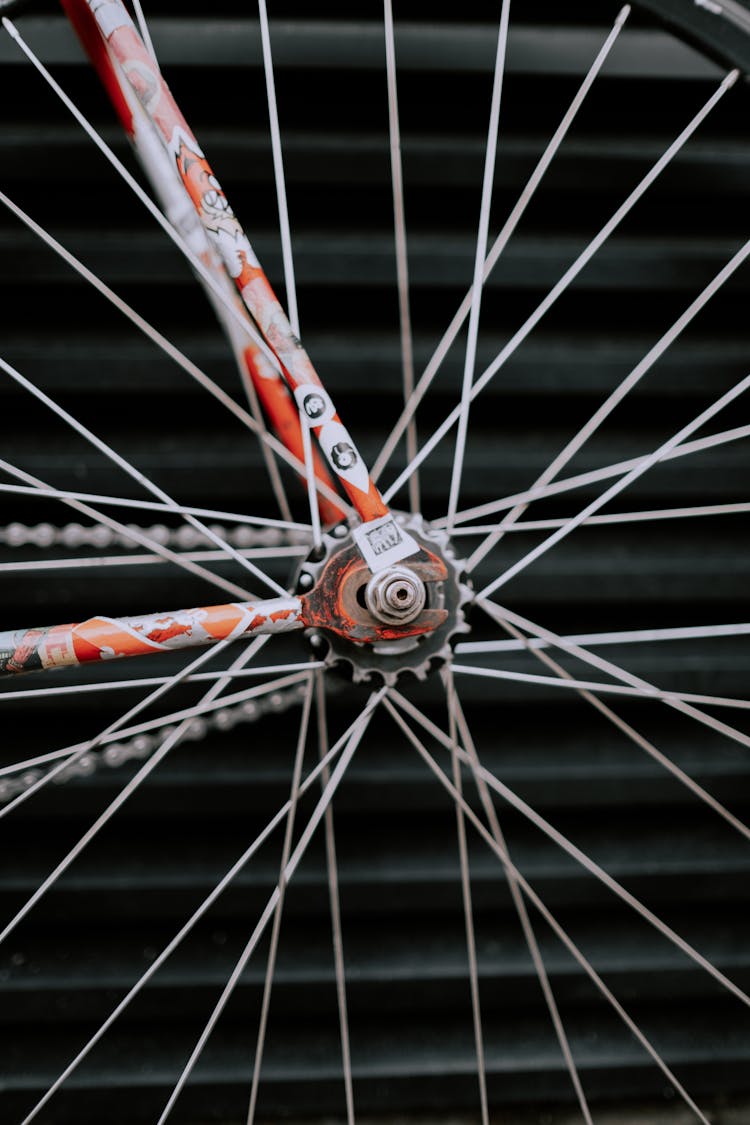 Spokes Of A Bicycle Wheel