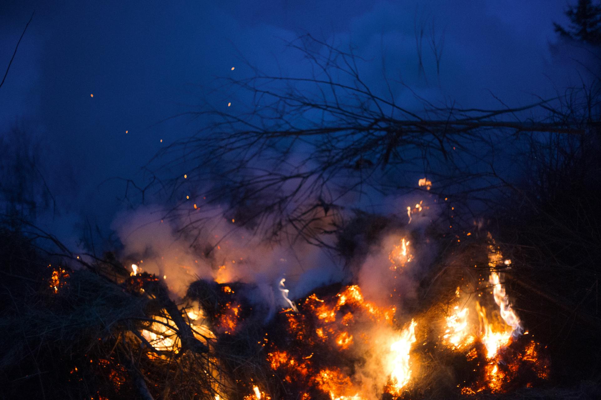 Bright flames of fire burning on thin dry branches in smoke in grove of forest