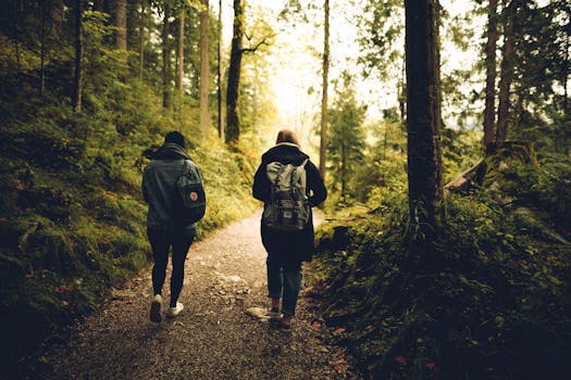 Two friends walk along a forest path, enveloped by lush greenery and tall trees.