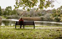 Person Sitting on Brown Wooden Bench Near Body of Water