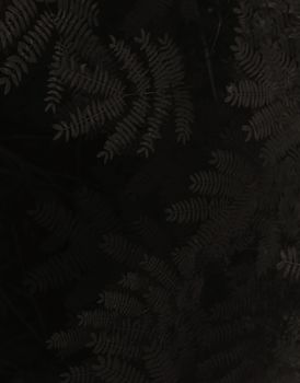 Moody dark fern leaves create a contrasting textured background.