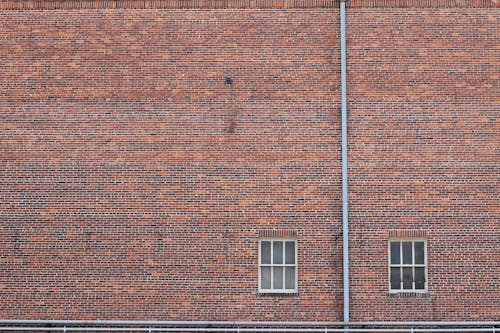 Free stock photo of background, brick, brick wall