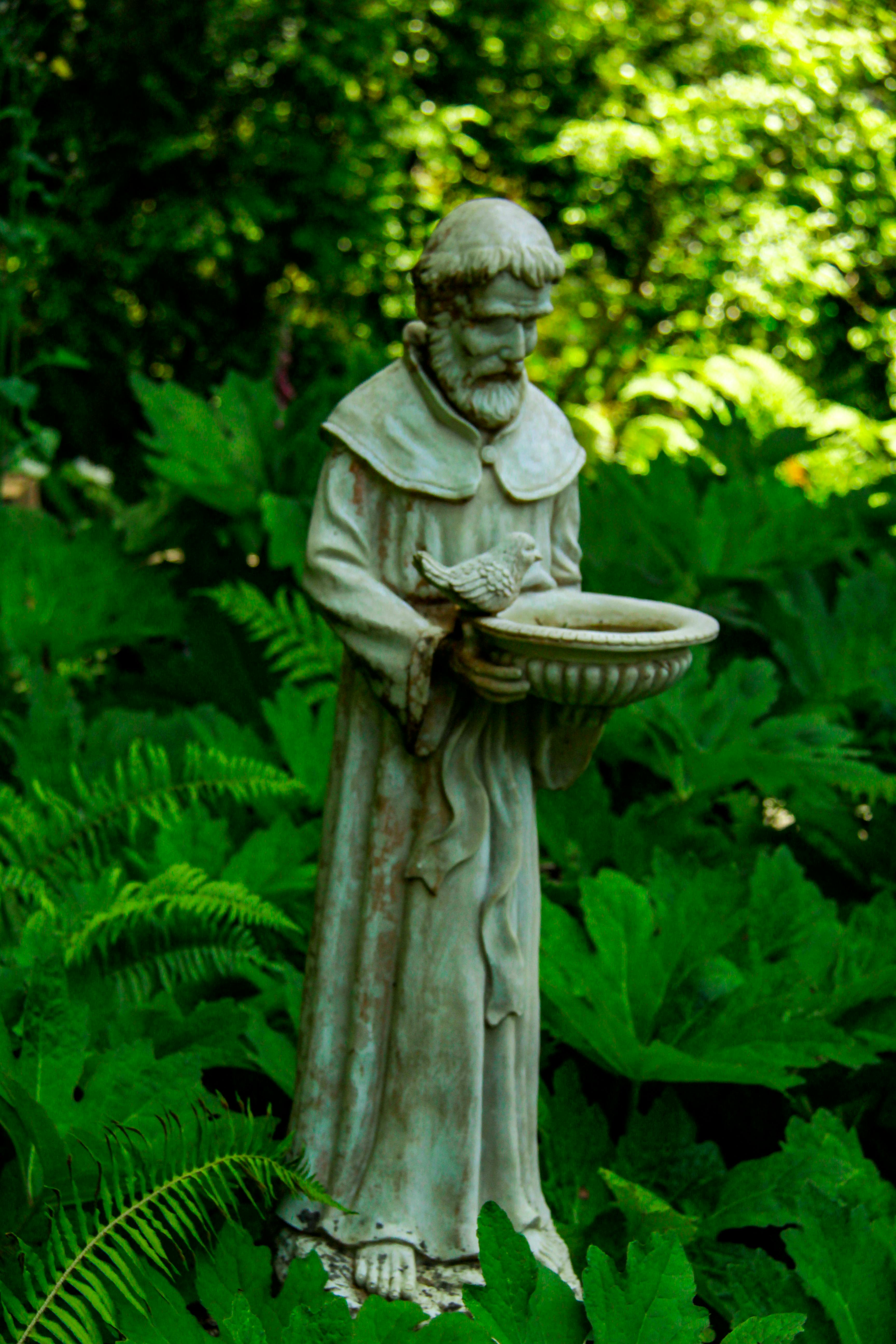 Animal Magnetism Attraction Of Spiritual Leaders Francis Story