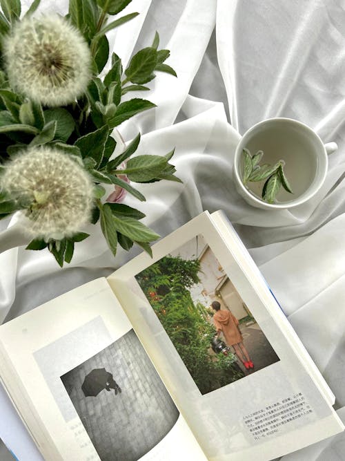 Top view arrangement of opened book placed on white cloth near cup and fluffy white dandelion in vase