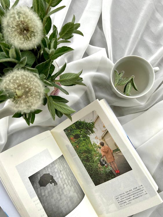 Free タンポポの花の近くの白い布で開いた本 Stock Photo