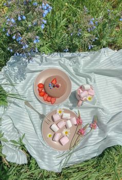 从顶视图看，草坪上的盘子里放着棉花糖和浆果，摆在一块野餐格子煎饼上