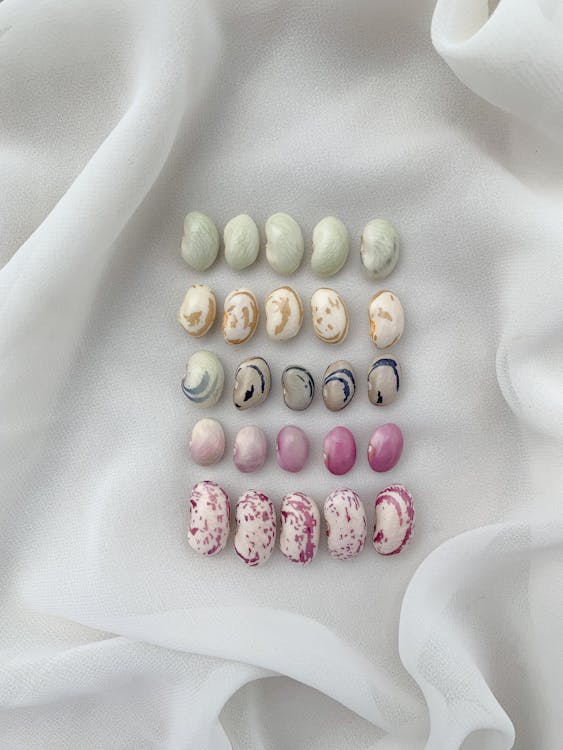 Top view composition of beans of different varieties and colors placed on white cloth