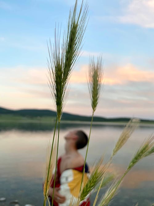 Cereal grass against woman standing on shore of lake