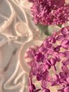 From above of blossoming flowers of lilac in glass vase and ice with petals