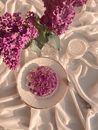 Top view of arranged bouquet of fresh flowers of lilac with plate of frozen flowers and fork near goblet of milk
